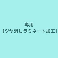 【専用★ツヤ消しラミネート】家庭でできる視力検査表　3m用【ランドルト環仕様】