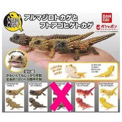 2025年最新】アルマジロトカゲ イエローの人気アイテム - メルカリ