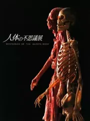 2025年最新】人体の不思議展 図録の人気アイテム - メルカリ