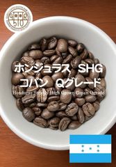 自家焙煎ストレートコーヒー豆 ホンジュラス ＳＨＧ コパン Ｑグレード（有機JAS栽培）200g