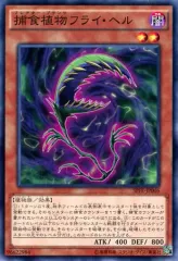 遊戯王 フュージョンエンフォーサーズ ブースターSP 未開封 5boxシュリンク