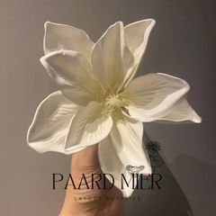 【M-0】Mサイズ 🪷オフホワイト🪷ハイクオリティフラワー 爬虫類・両生類ケージ用 レイアウトフラワー