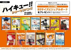 ☆特価☆スピード発送☆ハイキュー!! ショーセツバン ビジュアルボード 