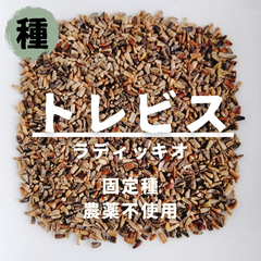 【種】トレビス　ラディッキオ　農薬不使用　400粒