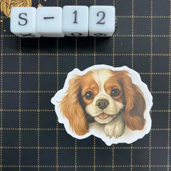 防水ステッカー　キャバリア　覗き猫・犬　デコレーション　水彩画風　S-12