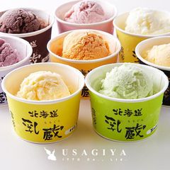 アイスクリーム バニラ 赤肉メロン 青肉 ストロベリー 苺 いちご ハスカップ クリームチーズ チョコレート 北海道 乳蔵 ちちぐら アイス 【sm00011281】