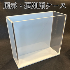 【五藤めだか】展示販売AB品(白) メダカ用 ケース 撮影 横見