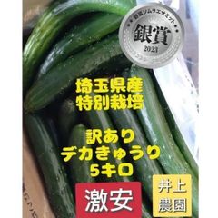 5キロ弱！リピーター続出！デカきゅうり！　野菜ソムリエサミット銀賞受賞　農家直送　減農薬　有機肥料　ちょいデカきゅうり　訳あり　5kg