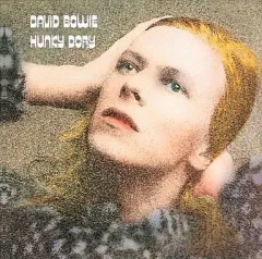 ■RSD限定盤■DAVID BOWIE ■デヴィッド・ボウイ■Changes N デヴィッド・ボウイ『Rock 'n' Roll Star!』ボックスセット 2024