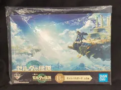 BANDAI SPIRITS 一番くじ ゼルダの伝説 ティアーズ オブ ザ キングダム B賞 キャンバスボード