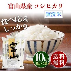 富山県産 コシヒカリ 無洗米 10kg お米 10キロ 送料無料