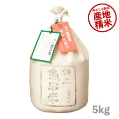 米 極上魚沼産コシヒカリ5kg お米 令和5年産 白米