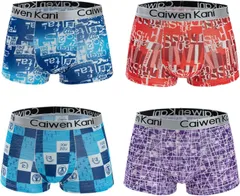 ボクサーパンツ メンズ 下着 4枚セット 前閉じ ボクサーブリーフ ローライズ 通気 吸水速乾 2XLサイズ R1059
