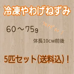 2024年最新】ヤワゲネズミの人気アイテム - メルカリ