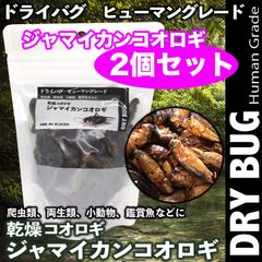 乾燥コオロギ【ジャマイカン】２個セット 両生類 爬虫類 小動物 レオパ フード