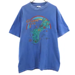 Hanes ヘインズ 80s 90s USA製 オールド 半袖 Tシャツ L 青 BEEFY-T メンズ 古着