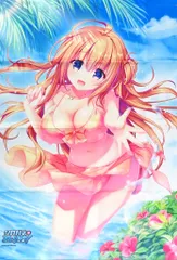 【中古】タペストリー [単品] 東雲雪菜 B2タペストリー 「PS4/Switchソフト シロガネ×スピリッツ! 完全生産限定版」 同梱特典