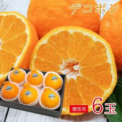 【順次出荷中】送料無料 安心の自社検品 送料無料 ギフト 贈答用 デコポン サイズ お任せ 6玉 でこぽん みかん 国産 国産みかん ご家庭用 みかん ご自宅用 果物 くだもの 地域厳選 熊本 和歌山 フルーツ