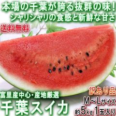 千葉スイカ 約5kg 1玉入り 千葉県産 訳あり品 富里を始め県内屈指の産地を厳選！豊かな甘さの新鮮な旬の西瓜