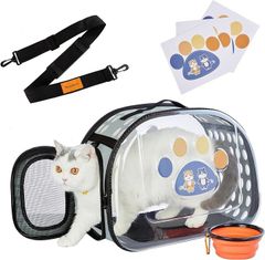 Item thumbnail for item 7ca767de-2dfd-4472-9cb8-1048dba55dbf