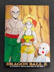 ドラゴンボール トレーディングコレクション アマダ アマダ ドラゴンボールZ トレーディングコレクション 3Dカード