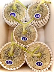庄内砂丘特産　アンデスメロン　2L5個　贈答用