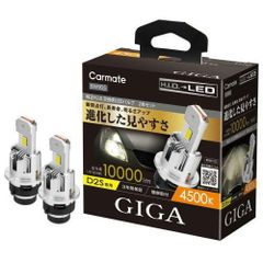 【定形外郵便】カーメイト GIGA LEDヘッドバルブ D10 4500K D2S 【BW905】
