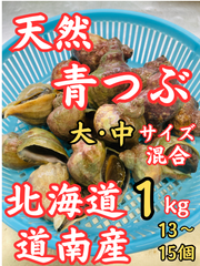 天然 活つぶ 青つぶ 大・中混合 1kg 北海道 道南産 ヒメエゾボラ ツブ つぶ貝 貝