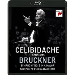 【未使用】チェリビダッケ トリノ・ライヴ映像集成 BOX [DVD] CDセット Amazon.co.jp: チェリビダッケ トリノ・ライヴ映像集成 BOX [DVD