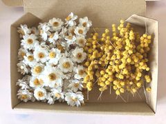 値下げ‼️ドライフラワー花材セット＊ミモザ穂先＊花かんざし ヘッド