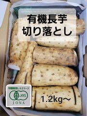 【在庫限り❗クール料金込み】有機長芋切り落とし　1.2kg～