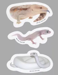 【中古】シール・ステッカー セットF(白ヘビ/他) ステッカーコレクション(3枚組) 「一番くじ 爬虫類＆両生類～Tiny Friends～」 F賞