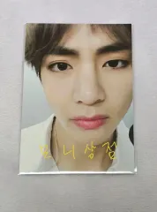 限定 BTS 防弾少年団 ARMYPEDIA パズル V テヒョン テテトレカ
