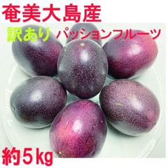 沖縄県産パッションフルーツ 家庭用5kg 傷、色むら、しわあり - メルカリ