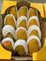 アタウルフォ メキシコ産マンゴー　1箱12玉－3kg