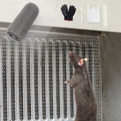 Item thumbnail for item c288e095-d256-4c19-b6fd-b3ecb87f002b