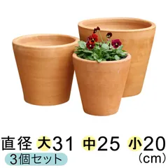 2025年最新】テラコッタ 鉢 大の人気アイテム - メルカリ