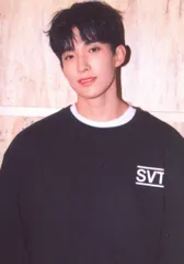 SEVENTEEN 2022 6th FANMEETING CARAT LAND DK トレーディングカード 0023