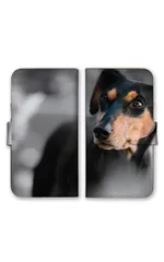 らくらくスマホ F-53E ケース 手帳型 スマホケース 携帯ケース 犬 ダックスフント ポメラニアン ラブラドール ゴールデンレトリバー かわいい 写真 カラー05のサムネイル