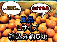 良品　箱込み約5kg　Ｌサイズ