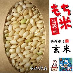 米 もち米 玄米 新米 10キロ 送料無料 ヒヨクモチ米  げんまい  令和6年産