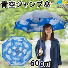 ジャンプ傘 青空 60cm×8本骨 雨傘 長傘 LIEBEN-0480