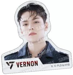[중고] 식완 스티커·씰 12. [SVT GUMMI2 From PLEDIS ENTERTAINMENT SEVENTEEN]