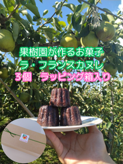 ラ・フランスカヌレ　３個ラッピング箱入り