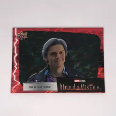 ワンダヴィジョン マーベル ポスター MONDO BNG シルクスクリーン 2025年最新】ワンダヴィジョンの人気アイテム - メルカリ