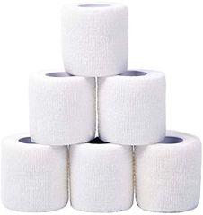 Item thumbnail for item e48efbf3-9f66-44b7-b1e0-e09d5e3446b0