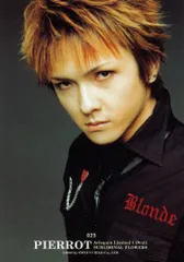 PIERROT 2002 Alrequin Limited Circuit SUBLIMINAL FLOWERS トレカ 潤 025