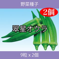 野菜種子 EAQ 翠星オクラ 9粒 x 2個