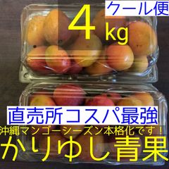 沖縄県産 ミニマンゴーB品 約3kg【クール便】⑤ - メルカリ