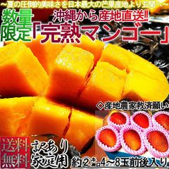 【1～3週間出荷予定】 早期出荷 産地直送 沖縄マンゴー 約2kg 4～8玉 サイズ混合 訳あり 日本一の出荷量を誇る沖縄より直送！お得な家庭用のトロピカルフルーツ